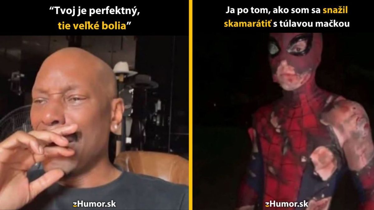 Dve obrázky: Muž dojato plače, vedľa zbitého Spidermana. Text vypovedá humornú situáciu o skúsenosti s túlavou mačkou.