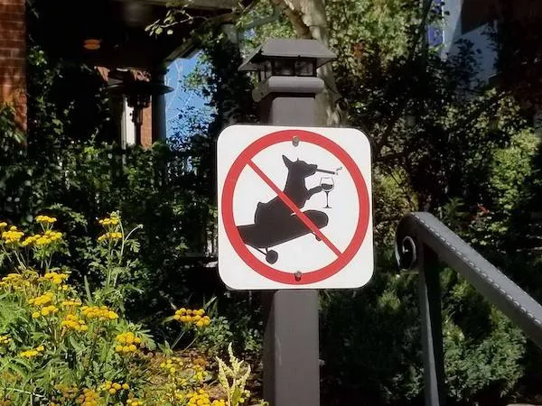 Zakázaný vstup psov so sklom vína v labkách –vtipná tabuľa v záhrade pri schodoch.