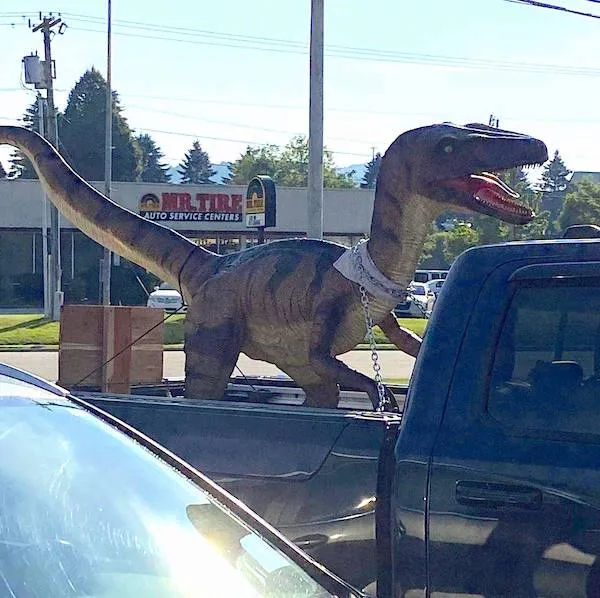 Dinosaurus v plnej veľkosti na korbe auta, zaparkovaný blízko autoservisu Mr. Tire pod slnečnou oblohou.