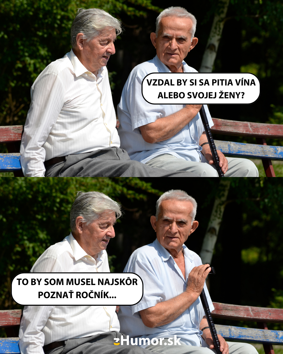 Dvaja starší muži sediaci na lavičke v parku, žartujú o pití vína a manželstve.