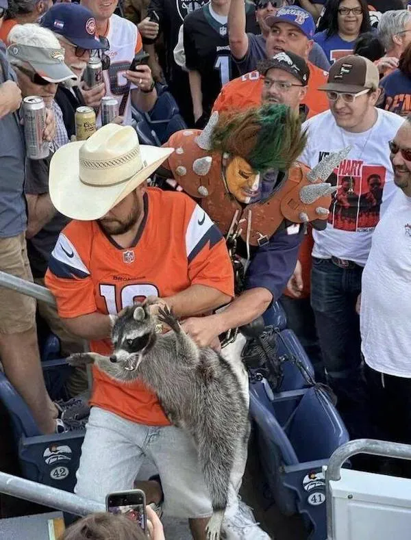 Pán v kovbojskom klobúku drží medvedíka čistotného na americkom futbalovom zápase, obklopený fanúšikmi.