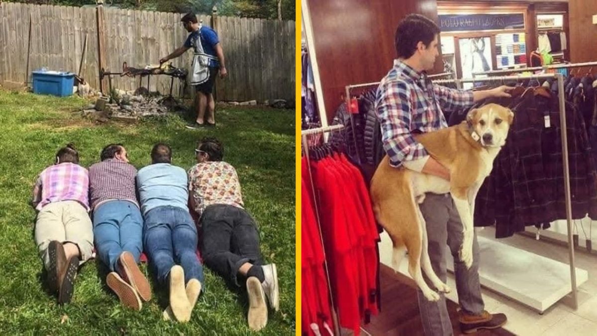 Muži na pikniku a vtipný nákupný moment so psom v obchode.