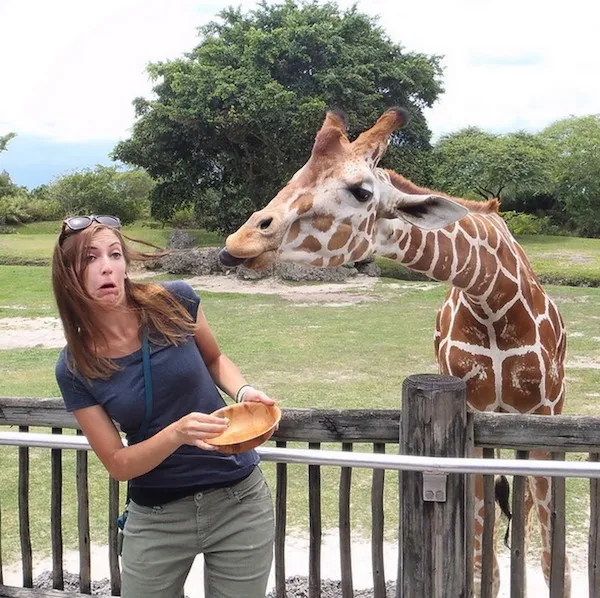 Žena prekvapene uhýba pred žirafou, ktorá siaha po miske s jedlom v zoologickej záhrade.