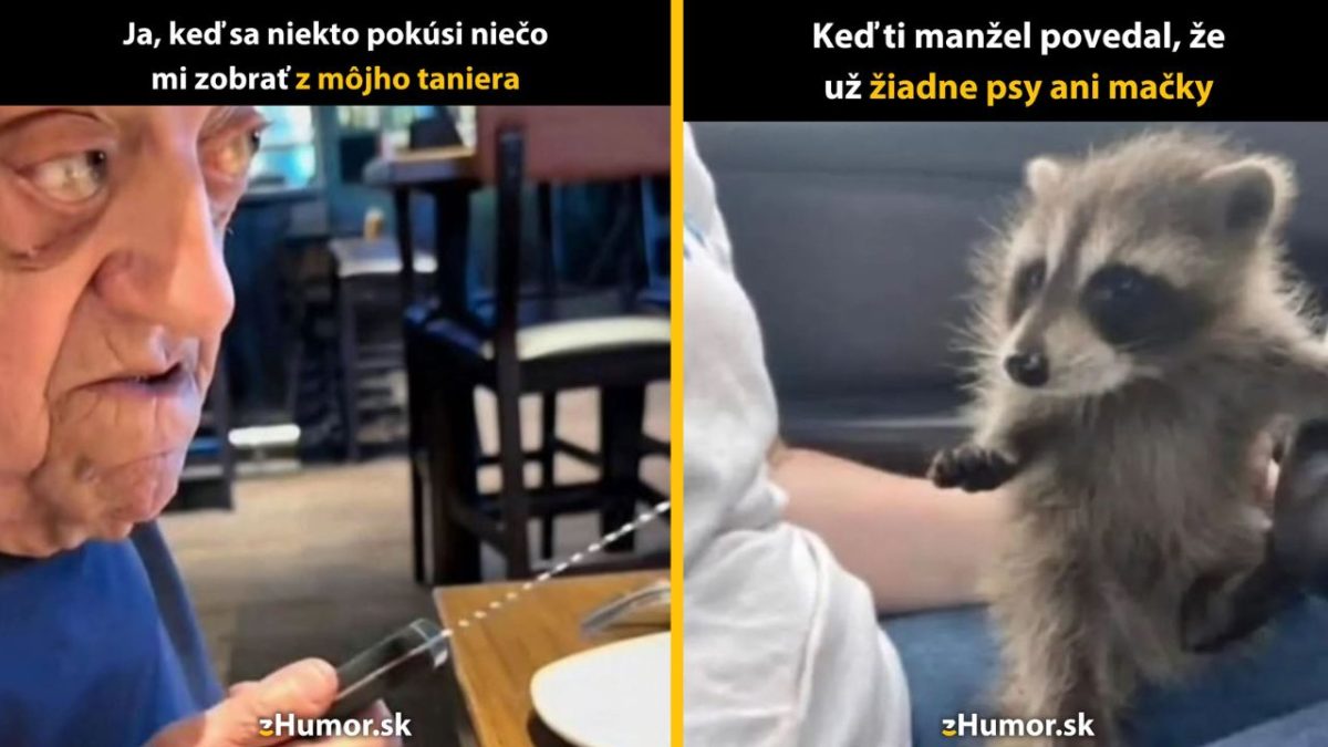 Starší muž v reštaurácii drží vidličku, mýval sedí na človeku v aute, oba obrázky s textom s humorným podtónom.