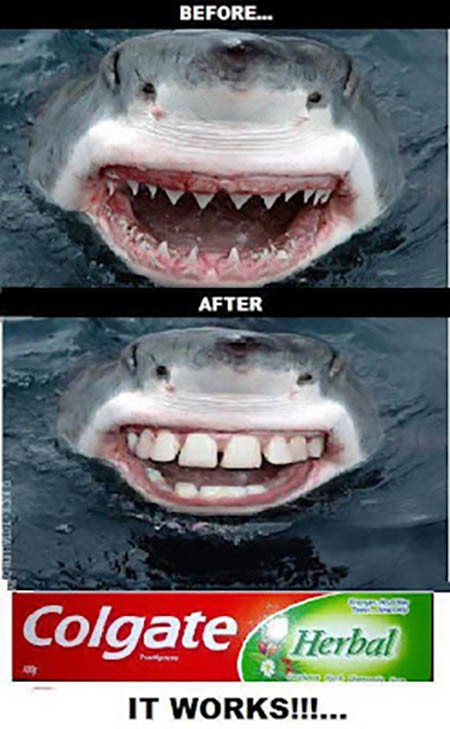 Žralok pred a po použití zubnej pasty Colgate s nápisom It works! zobrazuje humoristickú premenu chrupu.