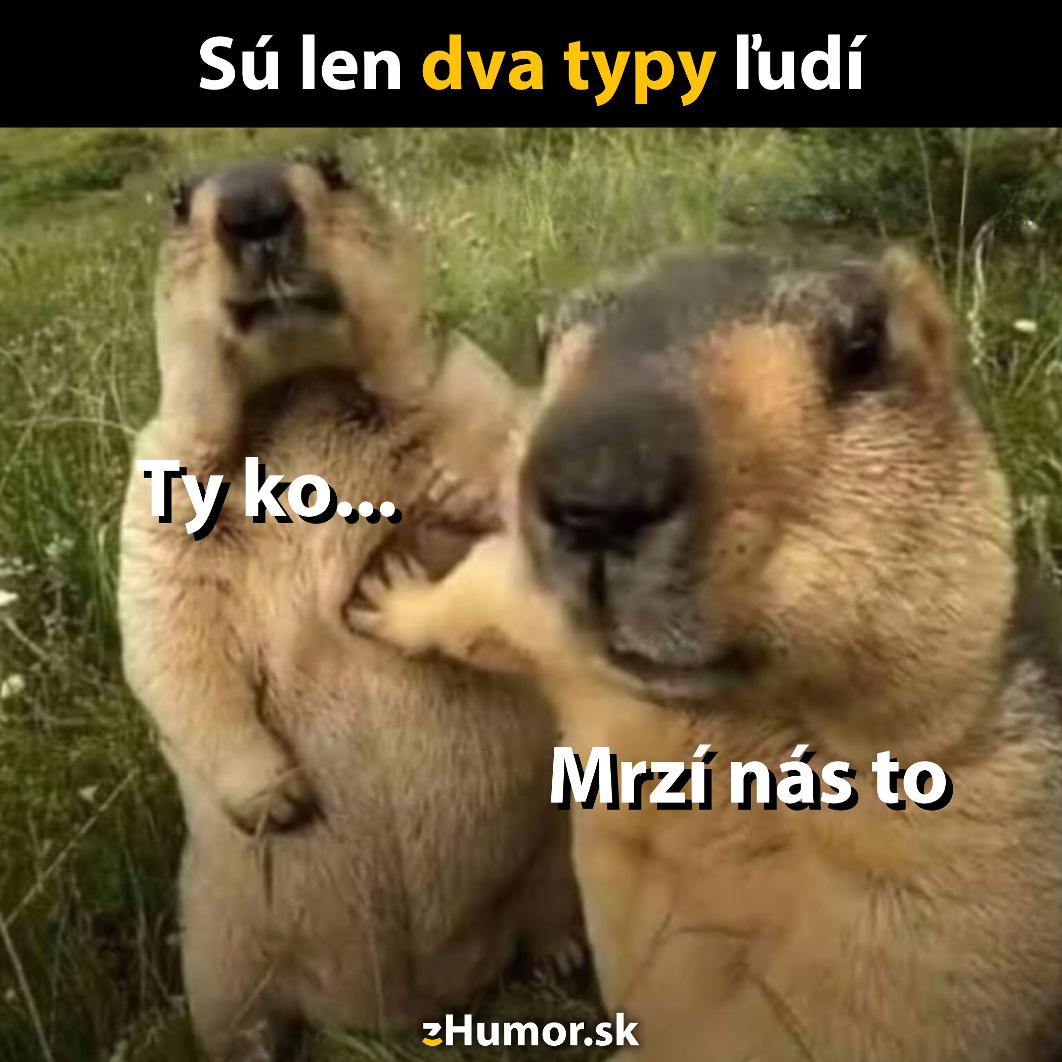 Dve svište s rôznymi výrazmi tváre, text: Sú len dva typy ľudí. Ty ko... Mrzí nás to.