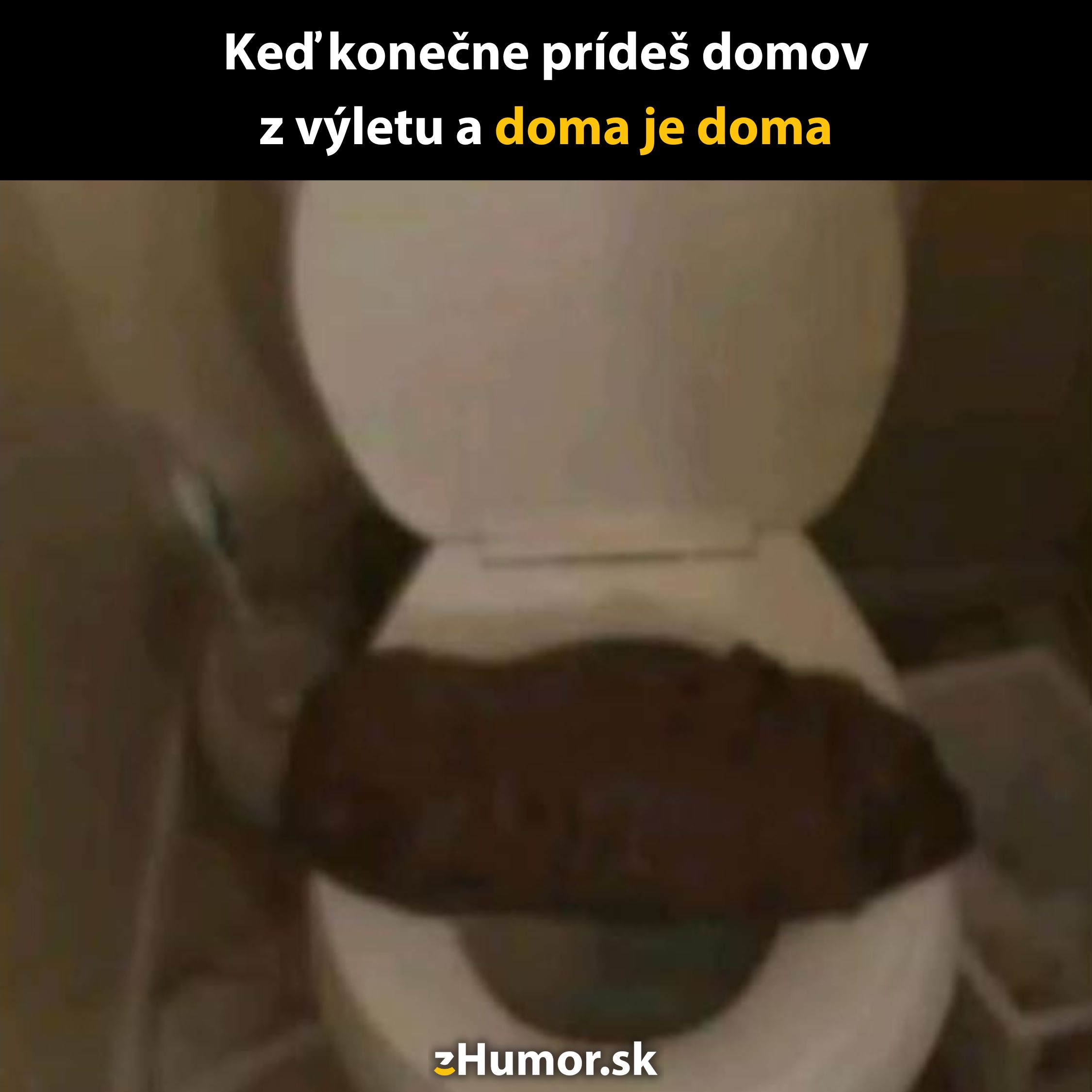 Toaleta so zvláštnym prekvapením, humorný pohľad na návrat domov.