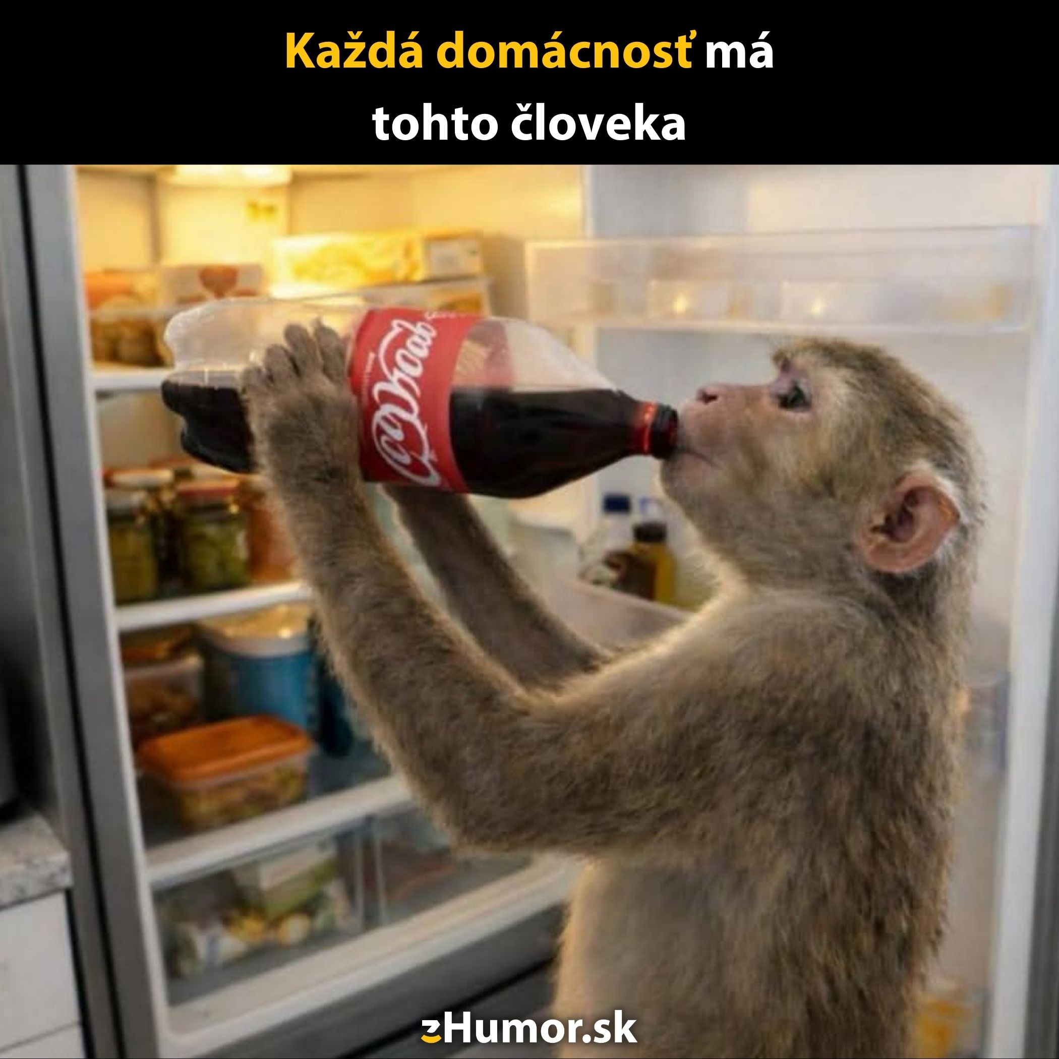 Opica pije kolu pred otvorenou chladničkou, vtipná situácia v kuchyni.