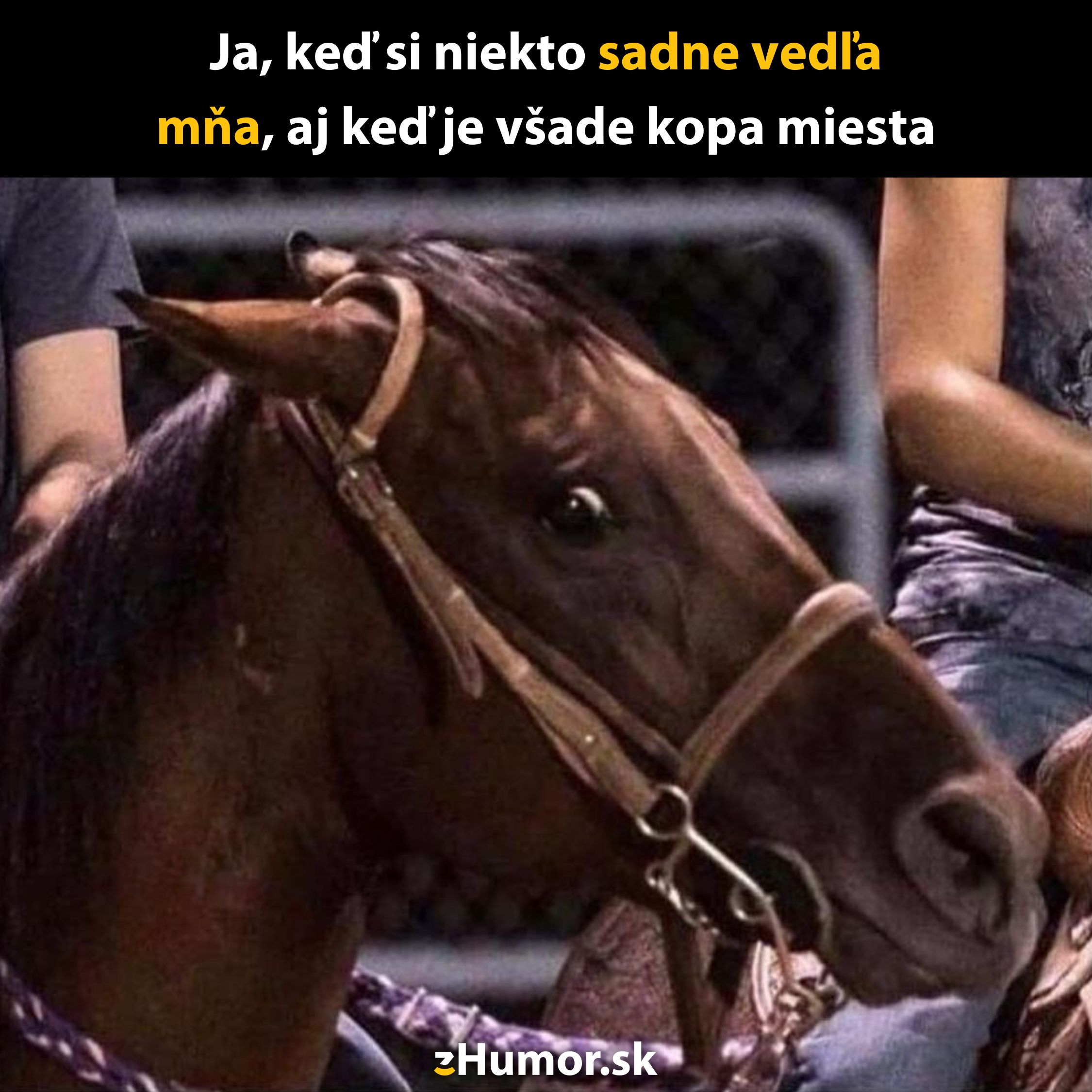 Kôň s komickým výrazom, keď niekto príliš blízko sedí vedľa neho napriek voľnému miestu okolo.