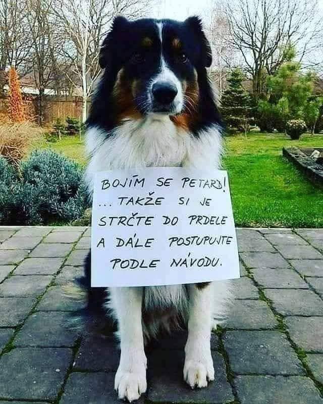 Pes vonku drží ručne napísaný odkaz o strachu z petárd.