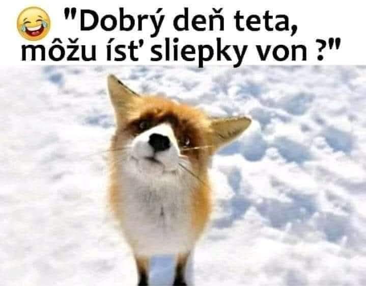 Líška na snehu s vtipným textom: Dobrý deň teta, môžu ísť sliepky von?