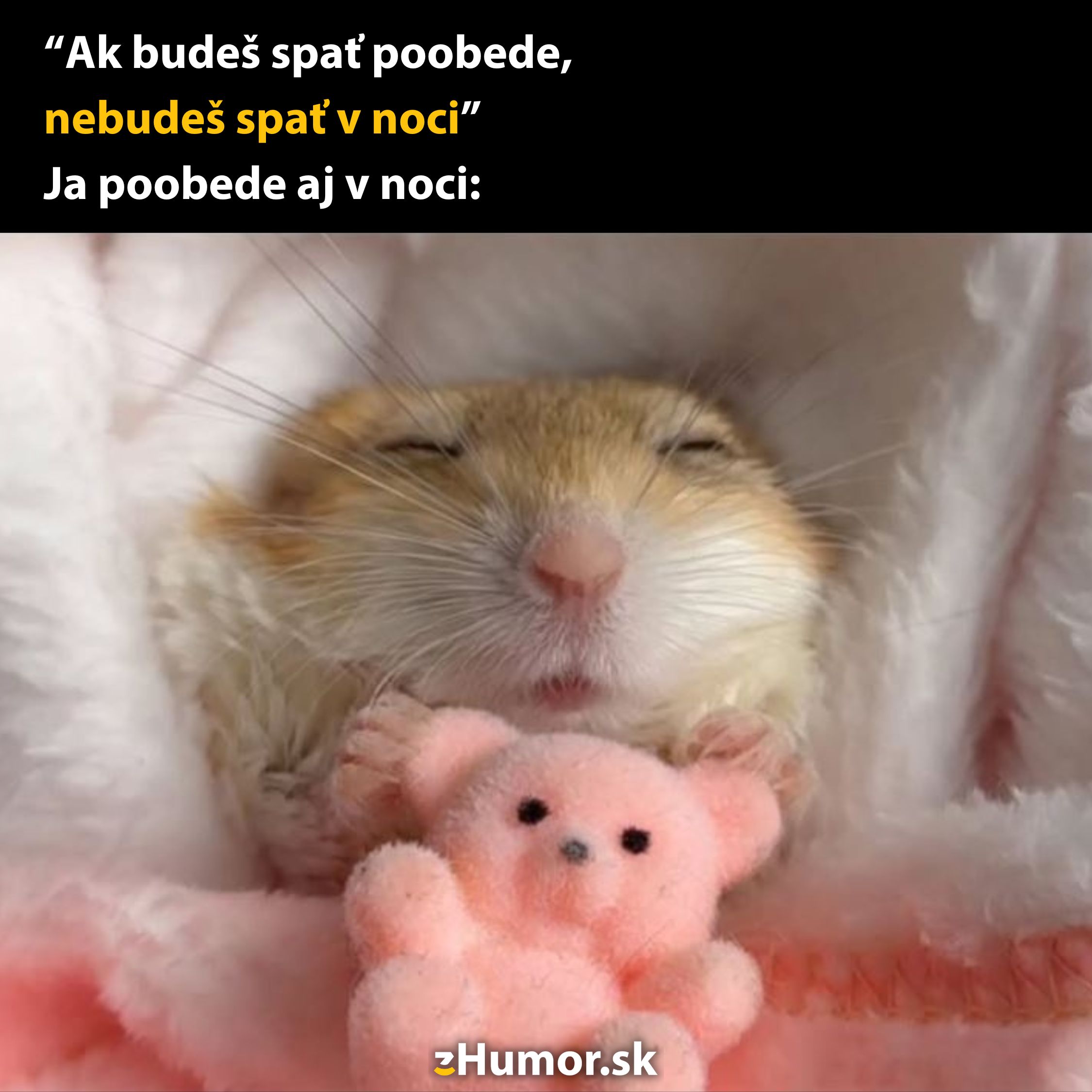 Roztomilý hlodavec spí s ružovým plyšovým medvedíkom, obalený v bielej prikrývke.