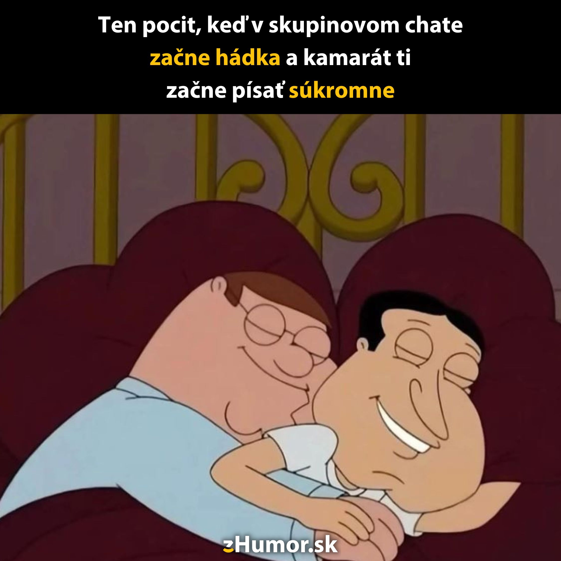 Karikatúra postáv oddychujúcich v posteli s humorným textom o súkromnom chate počas skupinovej hádky.