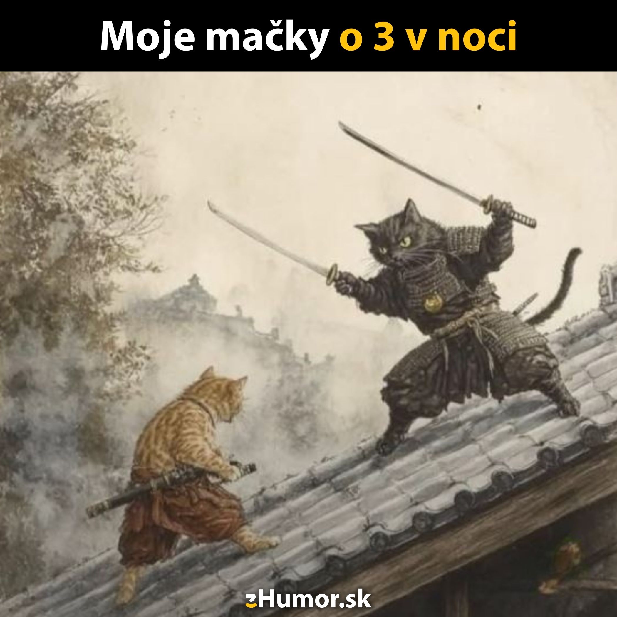 Mačky v samurajskom súboji na streche, vtipná scéna s textom Moje mačky o 3 v noci.