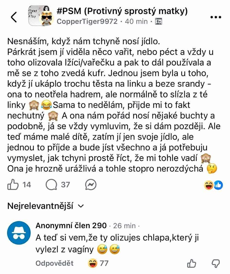 Nesúhlas s hygienou svokry pri varení jedla v príspevku na sociálnej sieti. Diskusia obsahuje vtipný komentár.