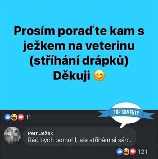 Osoba žiada o odporúčanie pre veterinára na strihanie ježkov. Iný používateľ žartuje, že si drápky strihá sám.