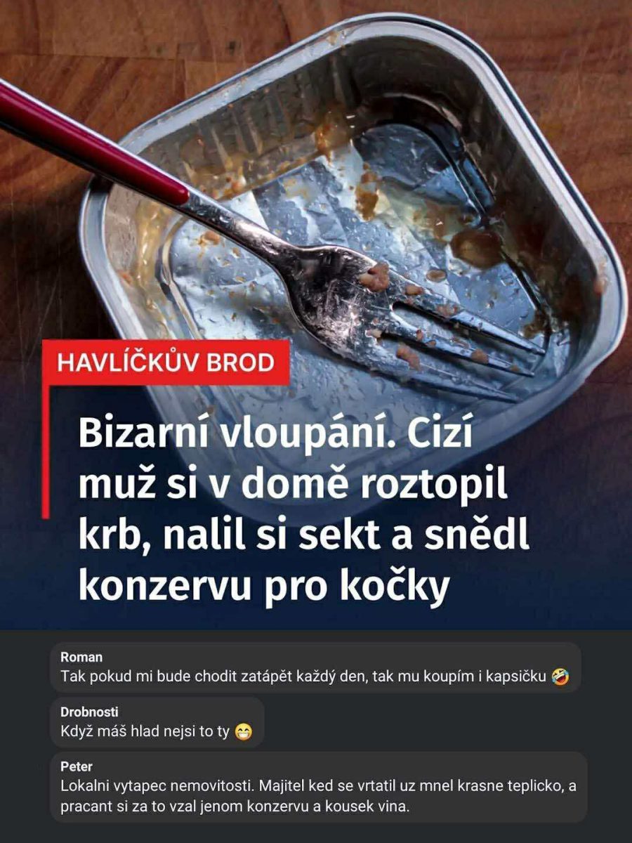 Prázdna konzerva, vidlička a kuriózne titulky: muž sa vlúpal do domu, zapálil krb a jedol jedlo pre mačky.