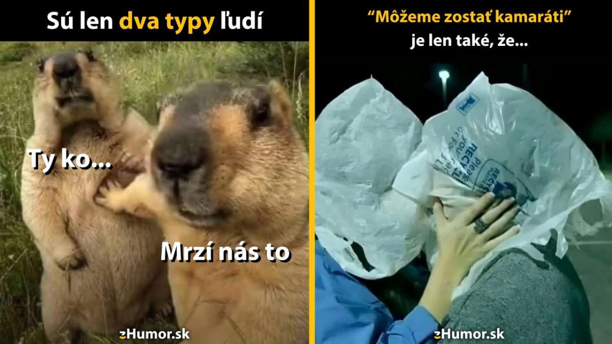 Obrázok dvoch vtipných reakcií na situácie, zobrazujúci marmoty a vtipnú scénku s plastovými taškami.