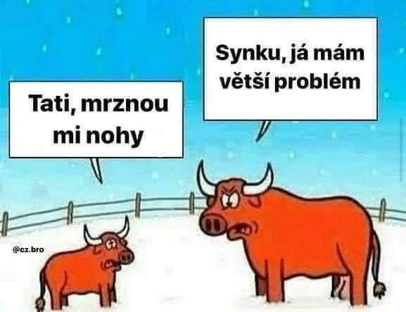 Kreslený obrázok kráv na zasneženom poli s bublinami: Tati, mrznou mi nohy! a Synku, já mám větší problém.