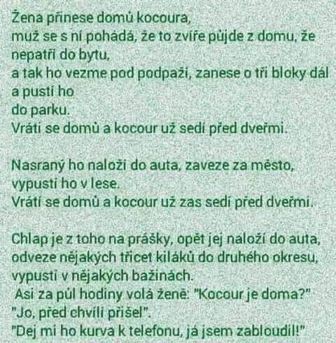 Vtipný príbeh o mužovi, ktorý sa snaží zbaviť vytrvalého kocúra, ale neustále zlyháva.