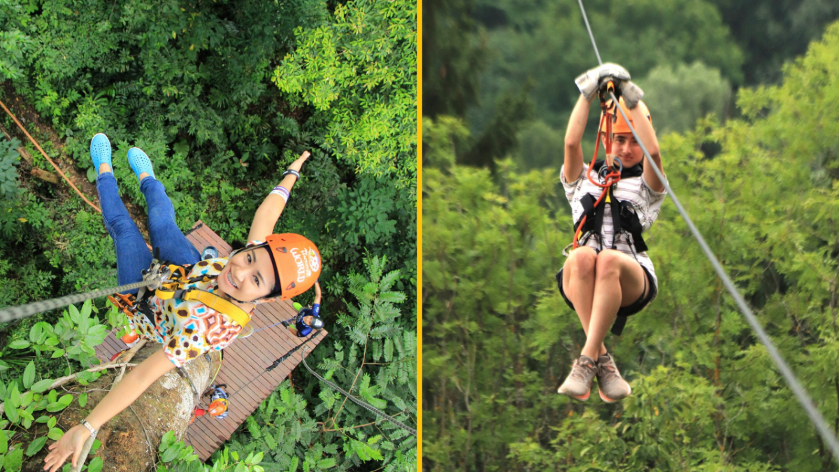 Osoby na zipline v tropickom lese; adrenalínový zážitok plný zábavy a dobrodružstva.