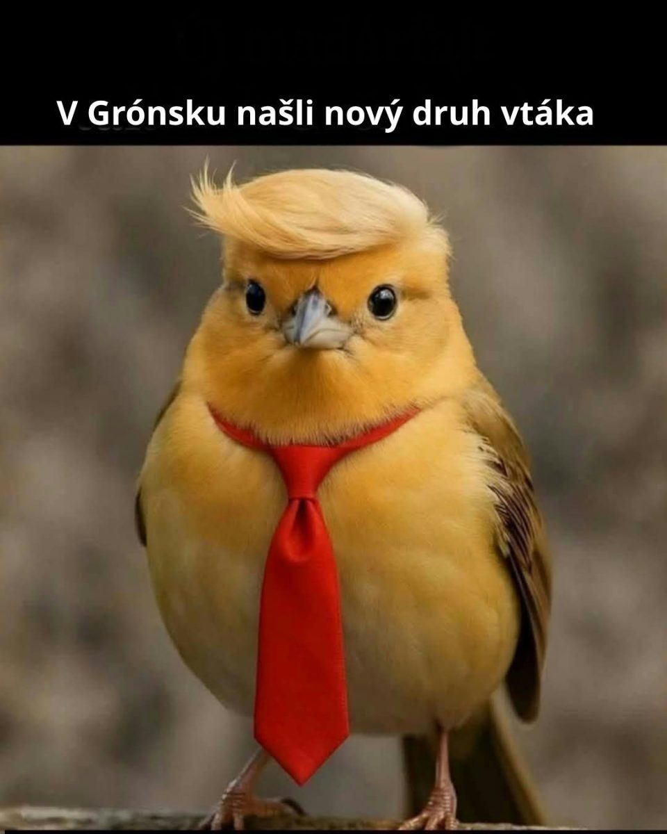 Žltý vták s červenou kravatou naberá ľudské črty, paródia na nový druh objavený v Grónsku.