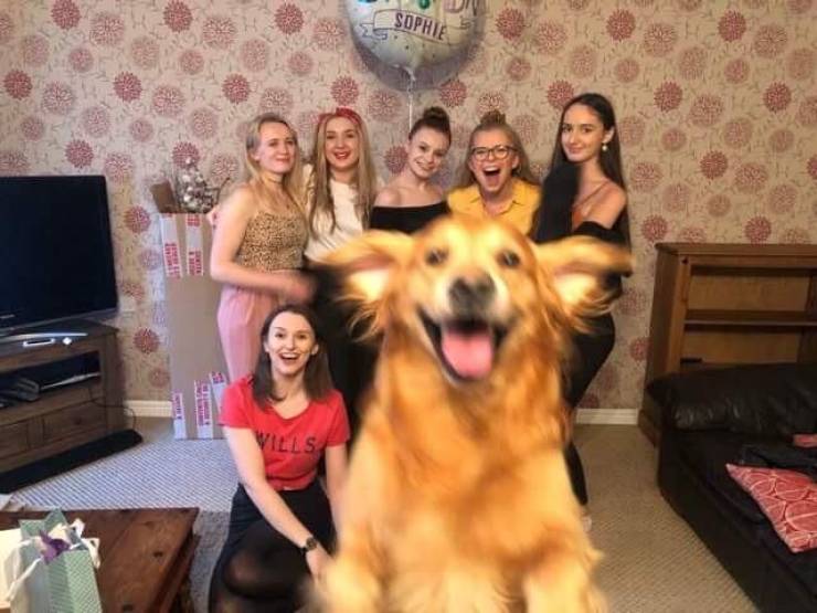 Skupina žien oslavuje v obývačke, zatiaľ čo nadšený pes sa vrhá pred objektív fotoaparátu.