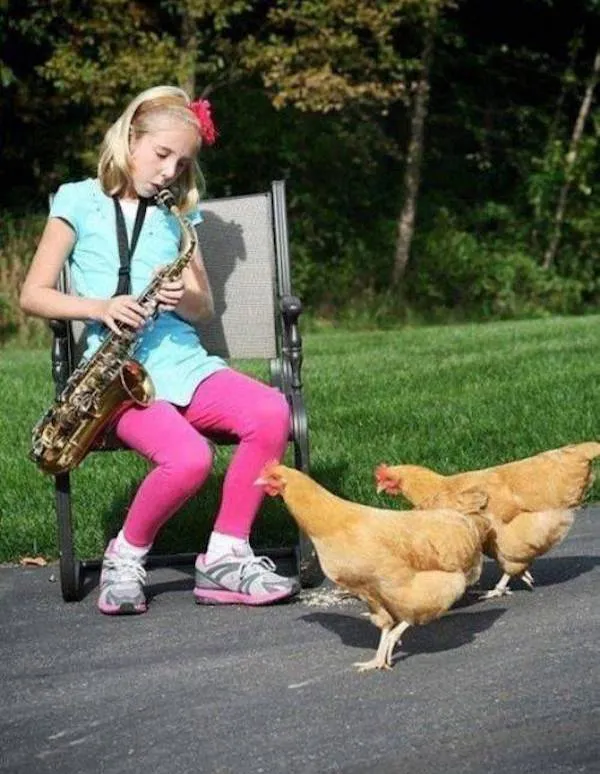 Dievča hrá na saxofóne pre sliepky v záhrade.