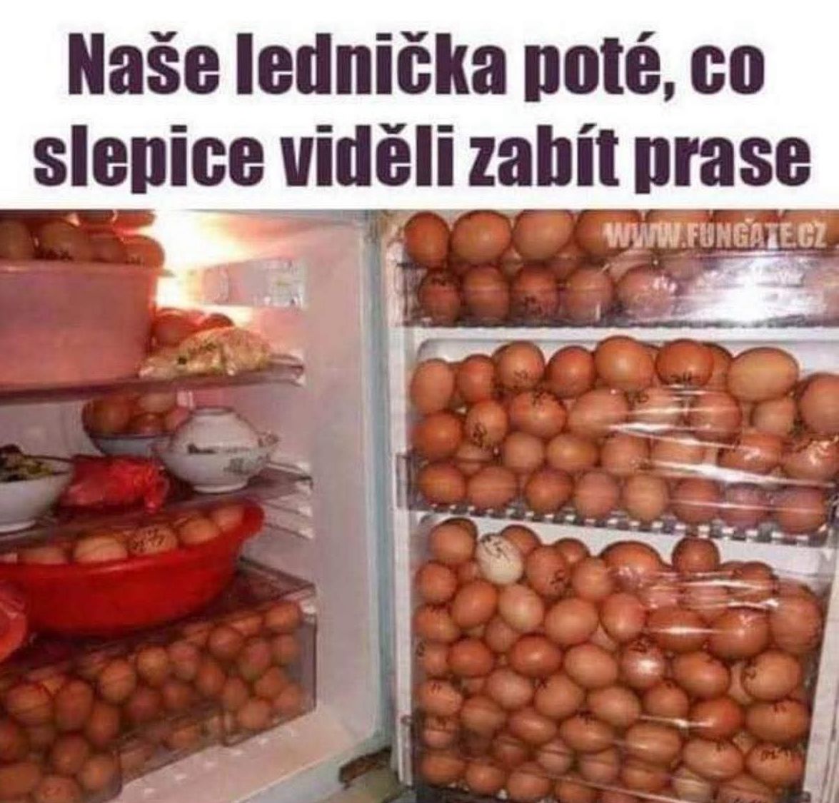 Chladnička plná vajec po zábavnom incidente so slepicami.