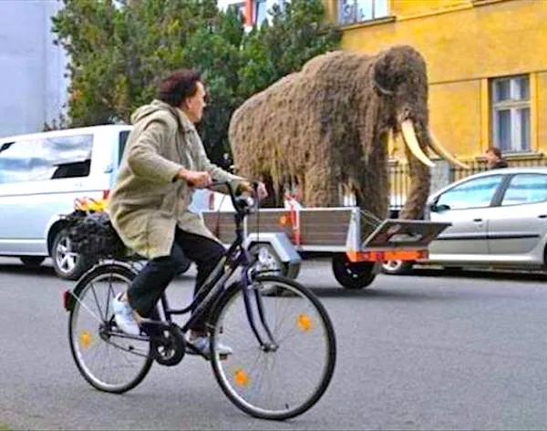 Osoba na bicykli vedľa prívesu s obrovskou maketou mamuta v rušnom meste.