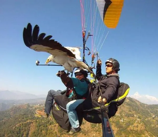 Paragliding a orol nad horskou krajinou za slnečného dňa. Adrenalínové dobrodružstvo vo voľnej prírode.