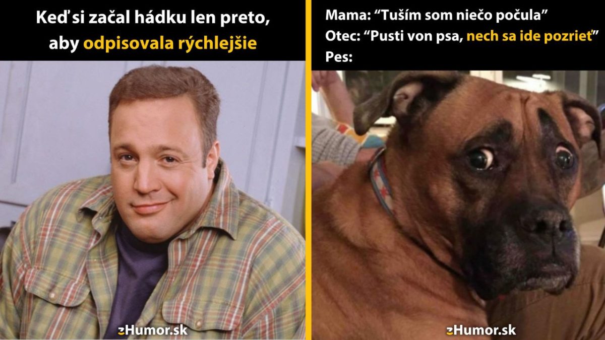 Muž a pes reagujú na vtipné rodinné situácie, obrázky zo stránky zHumor.sk.