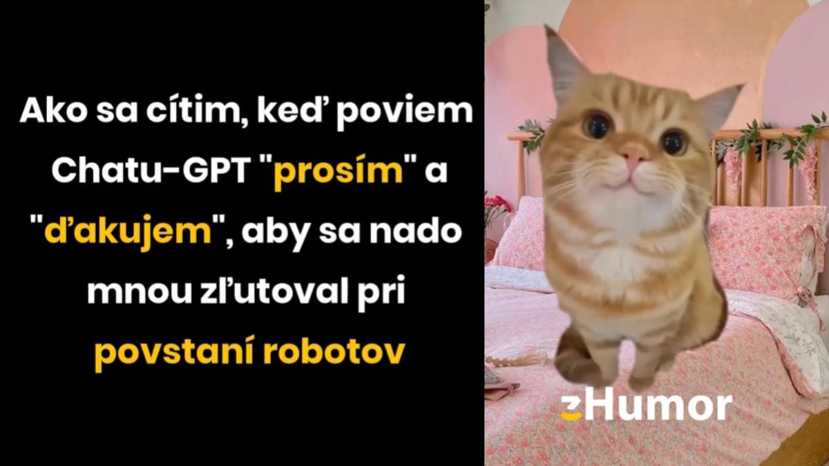 Mačka na posteli s vtipným textom o slušnosti voči ChatGPT pri povstaní robotov.