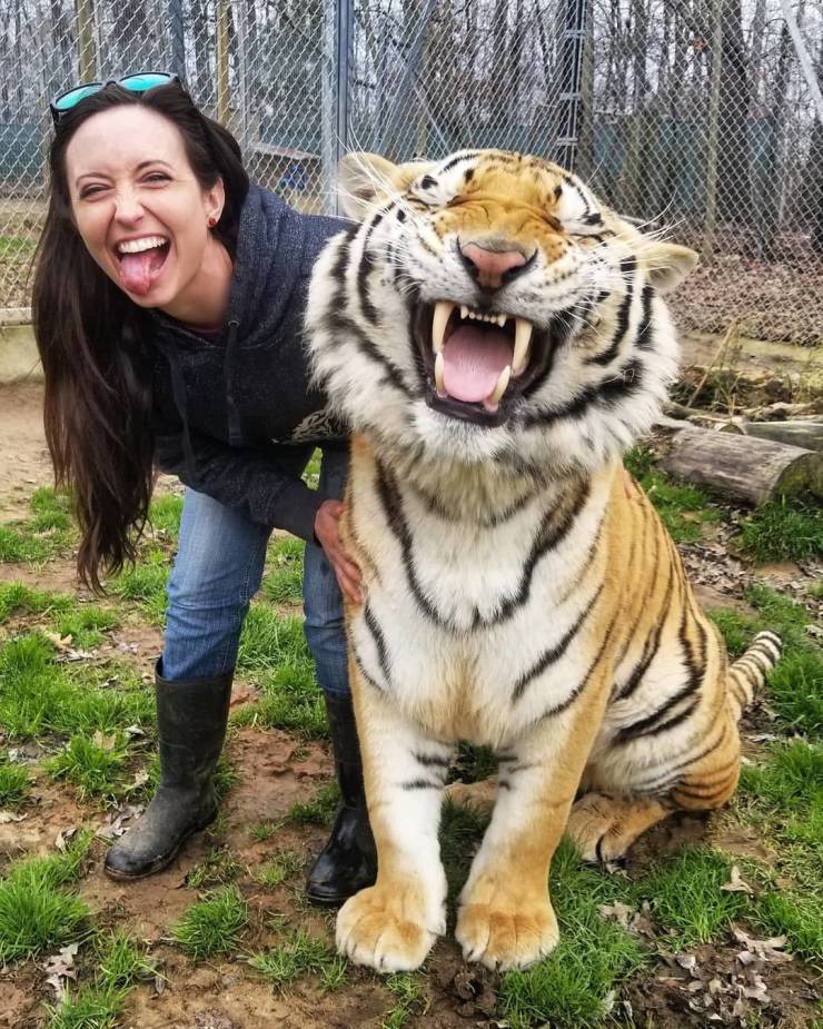 Žena s úsmevom stojí vedľa sediaceho tigra, obaja majú otvorené ústa v hravej póze na tráve.
