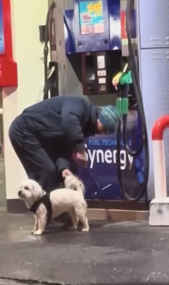 Osoba s dvoma malými psami na čerpacej stanici pri tankovaní, zimné oblečenie.