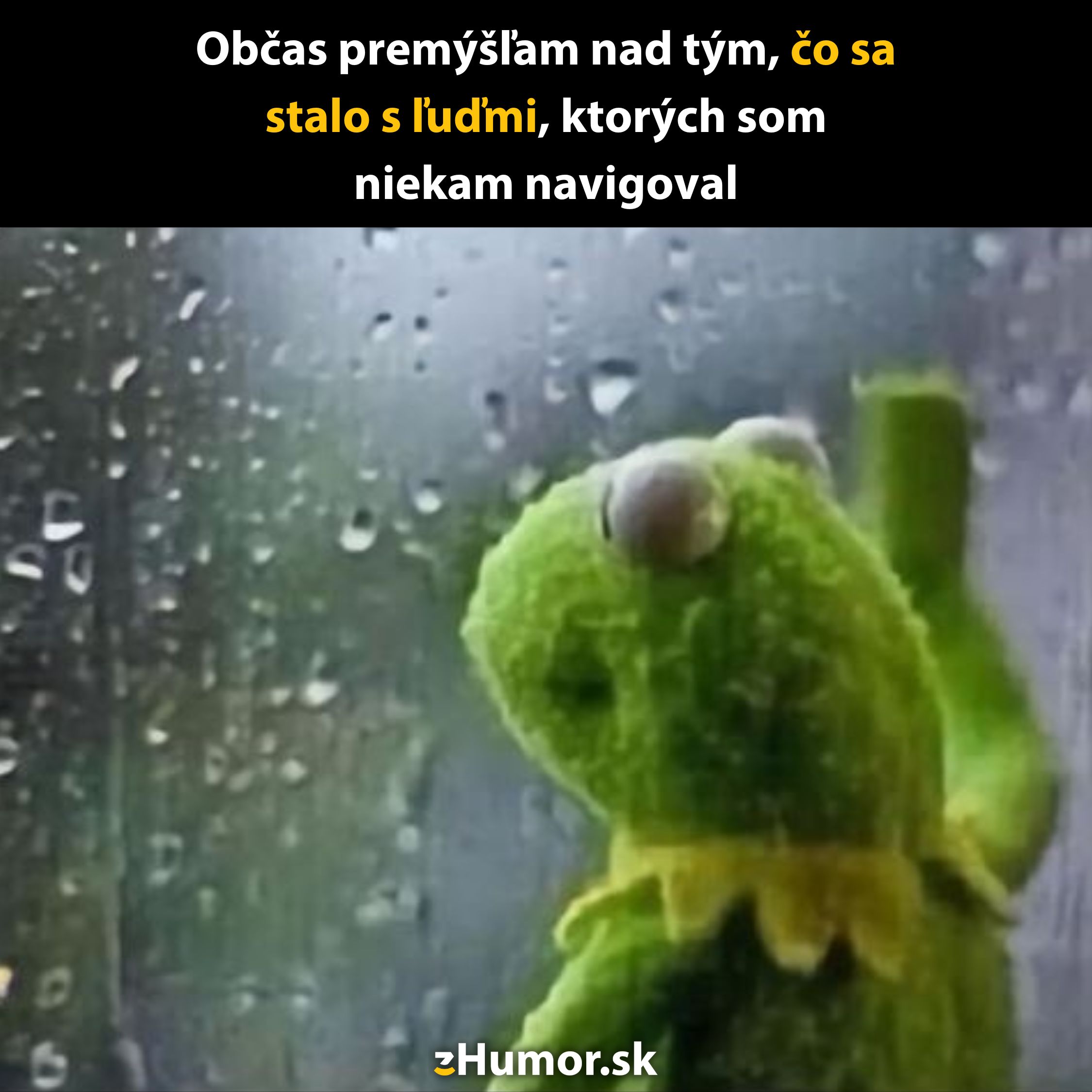 Žaba pri okne v daždi s nápisom, ironicky sa zamýšľa nad tým, čo sa stalo s ľuďmi, ktorých niekam navigovala.