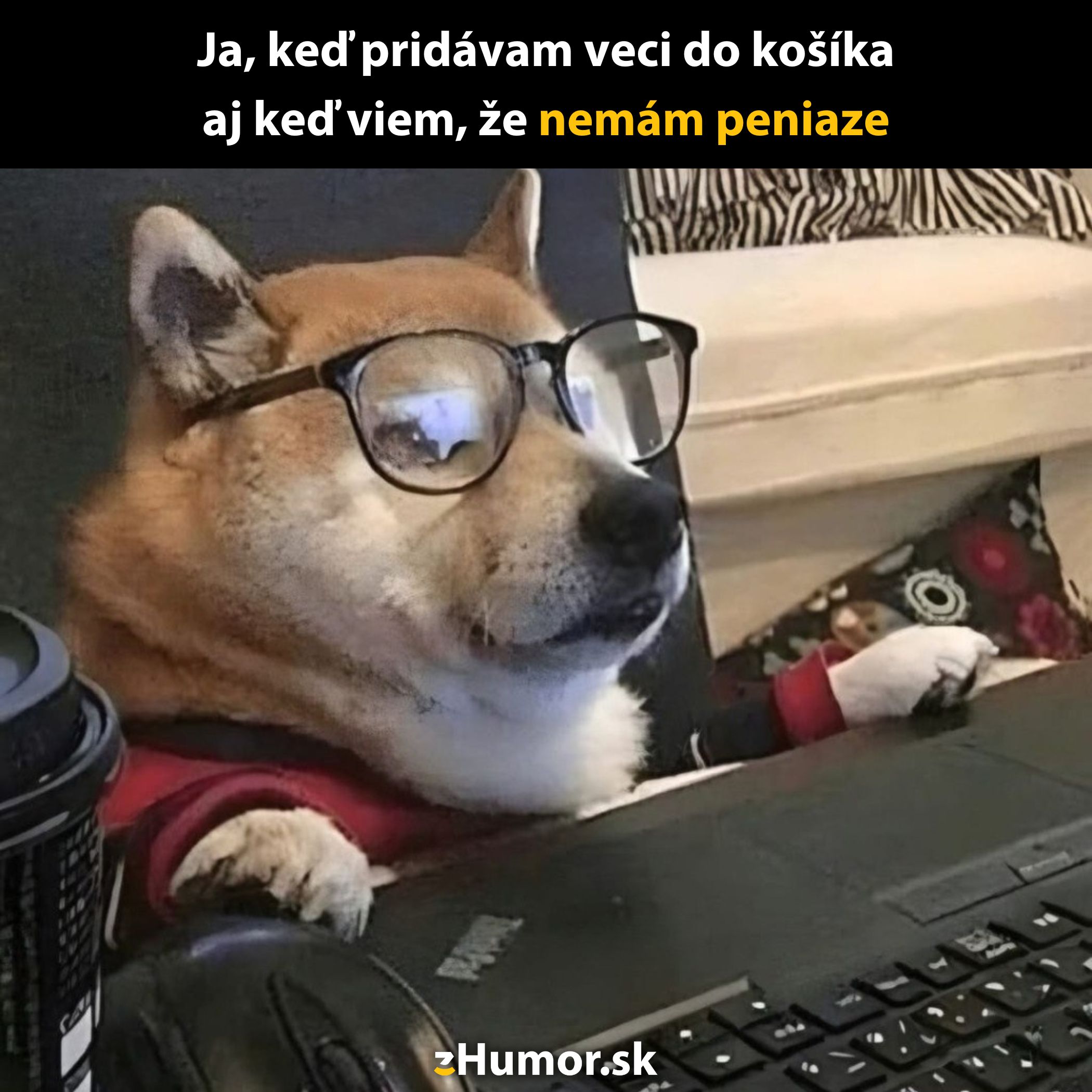 Pes s okuliarmi pri počítači, na stole káva. Text: Pridávam veci do košíka, aj keď viem, že nemám peniaze.