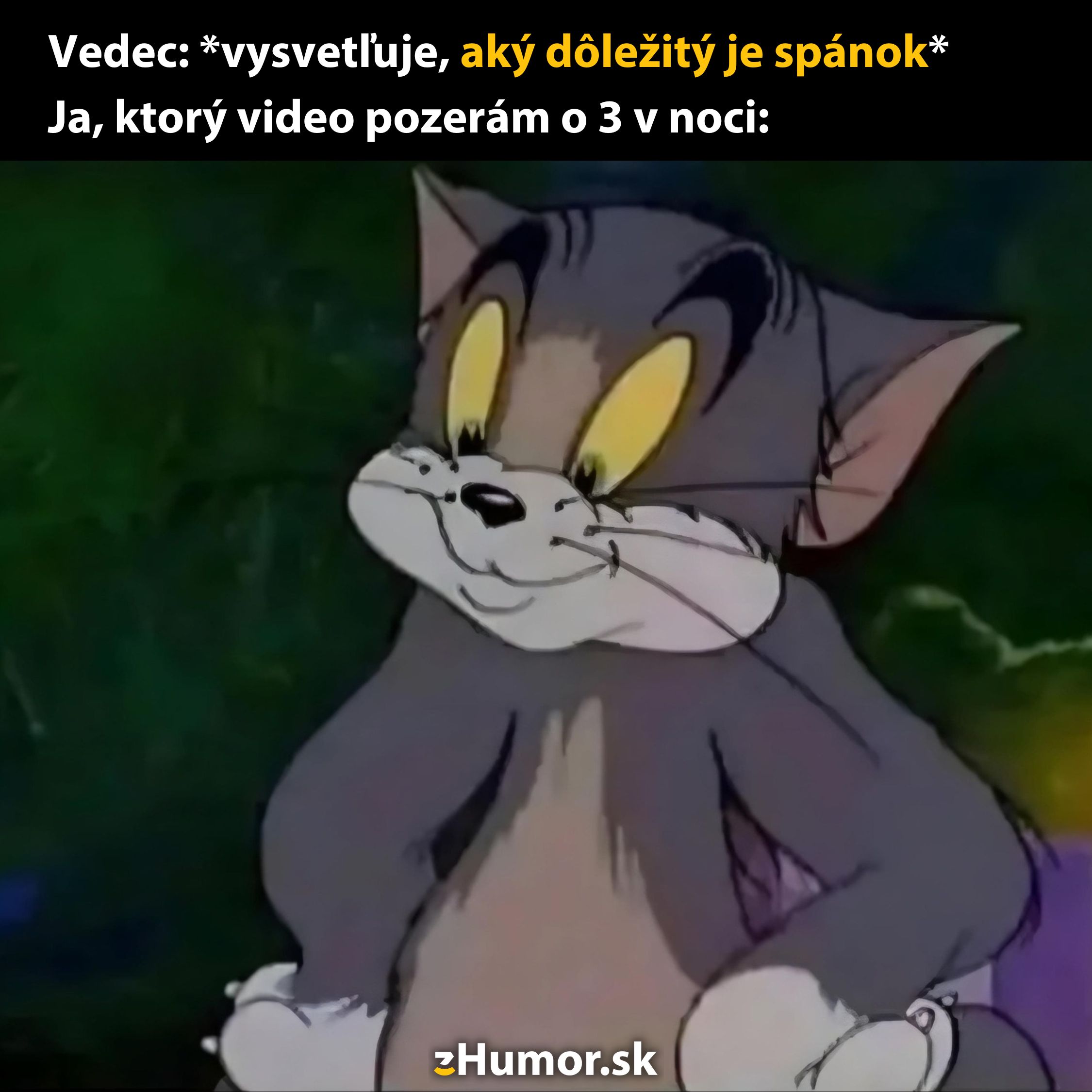 Mačka so široko otvorenými očami uprostred noci, kontrastujúca so spánkovými radami vedca.