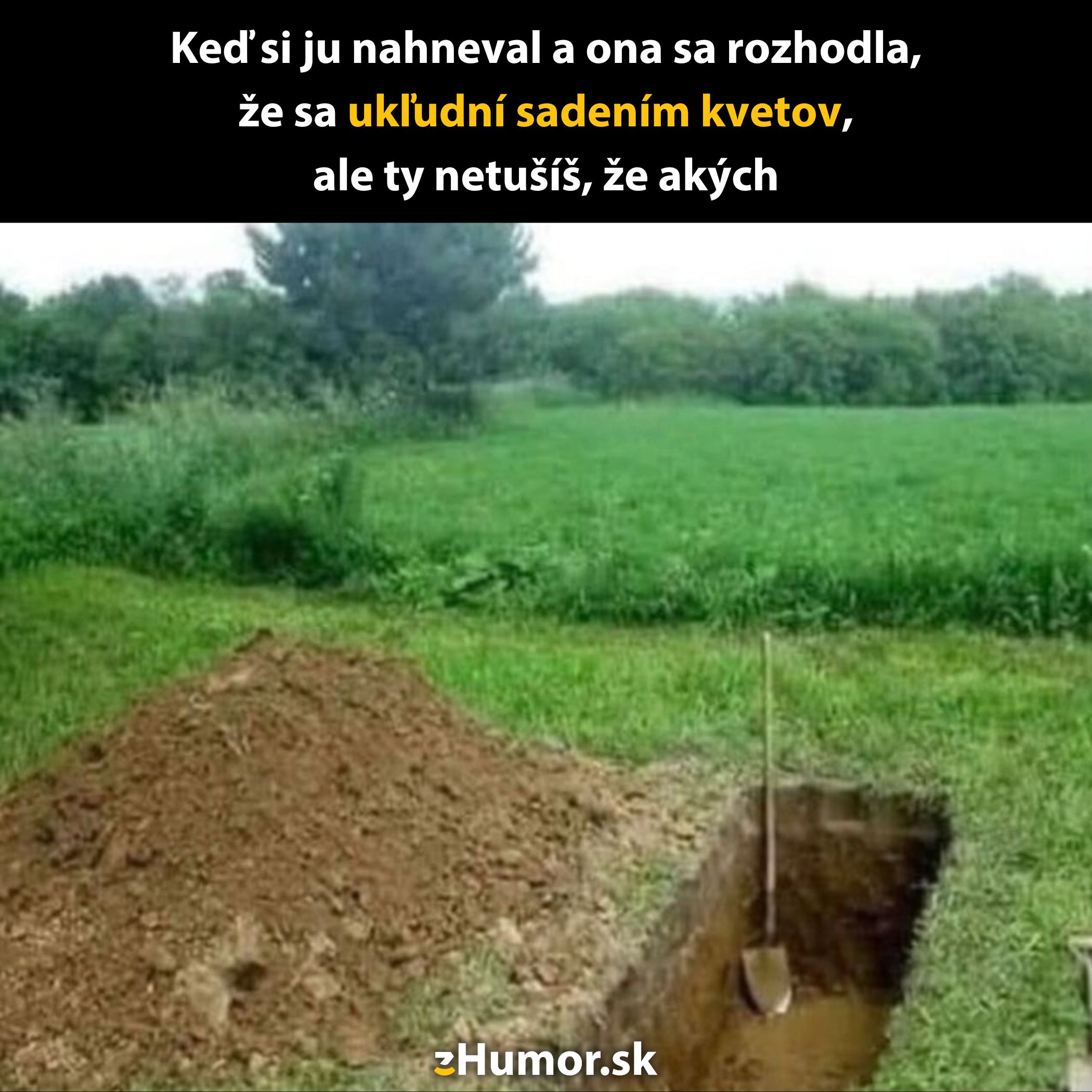 Žartovný obrázok so záhradou a lopatou. Text hovorí o výsadbe kvetov po hádke.