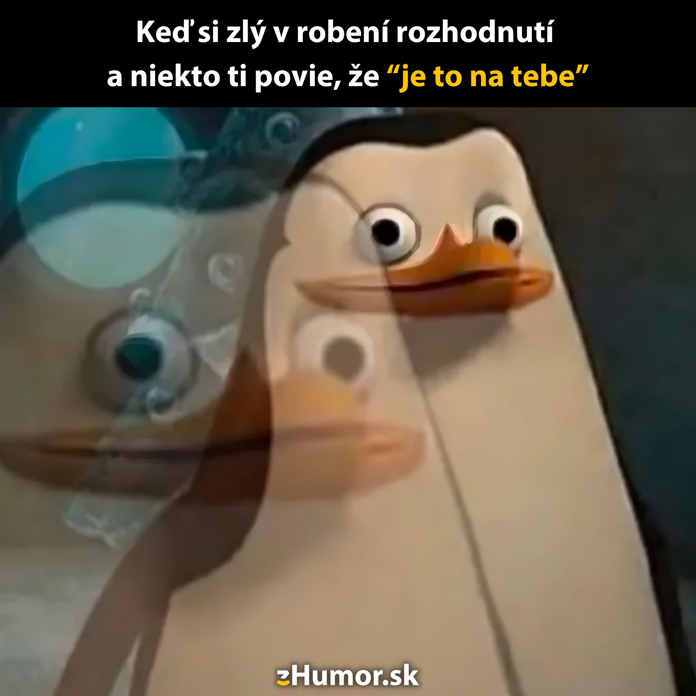 Tučniak s vystrašeným výrazom pri riešení zodpovednosti za rozhodnutie, meme.