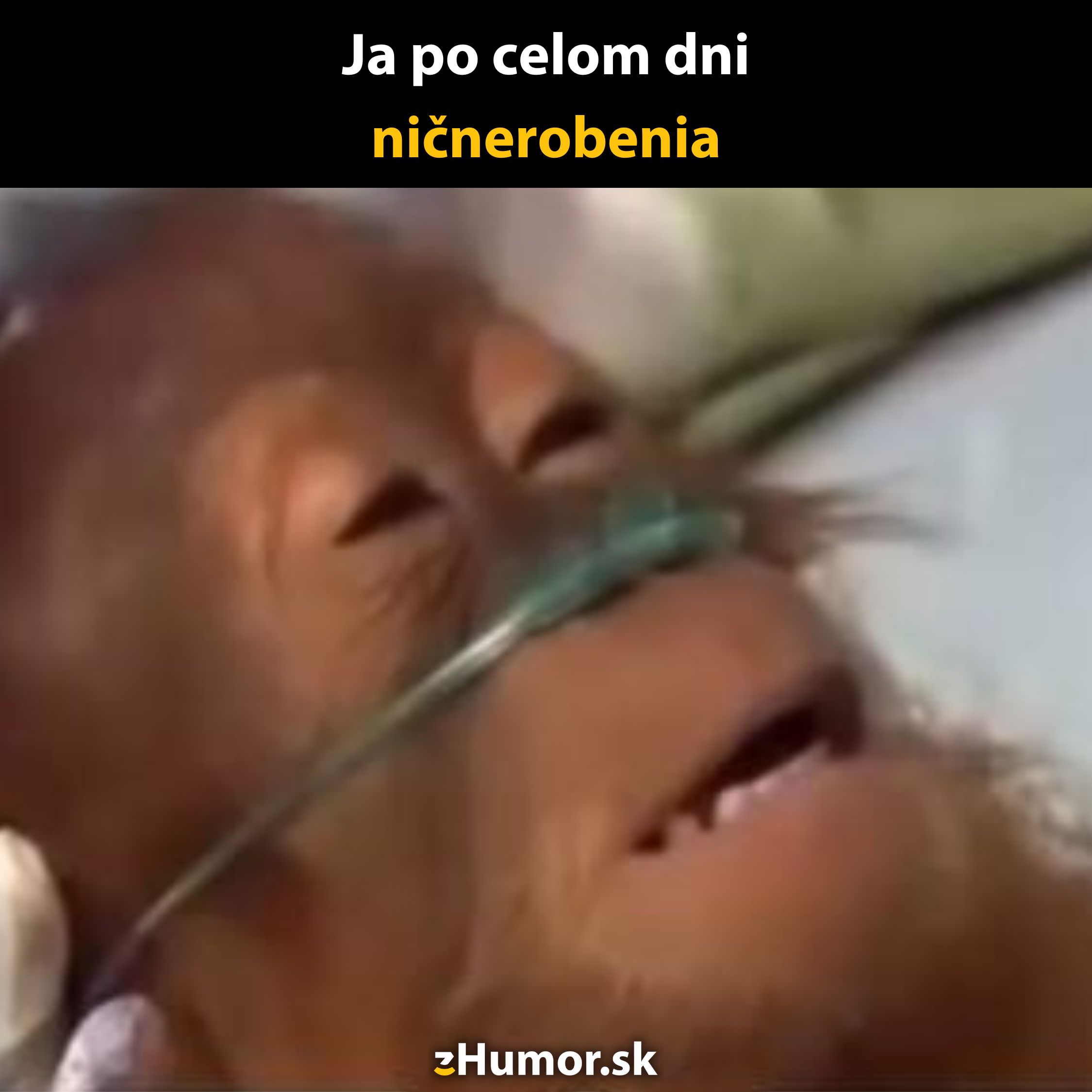 Opička relaxuje po dni odpočinku s kyslíkovou maskou na tvári, oči zatvorené, cíti sa uvoľnene a spokojne.