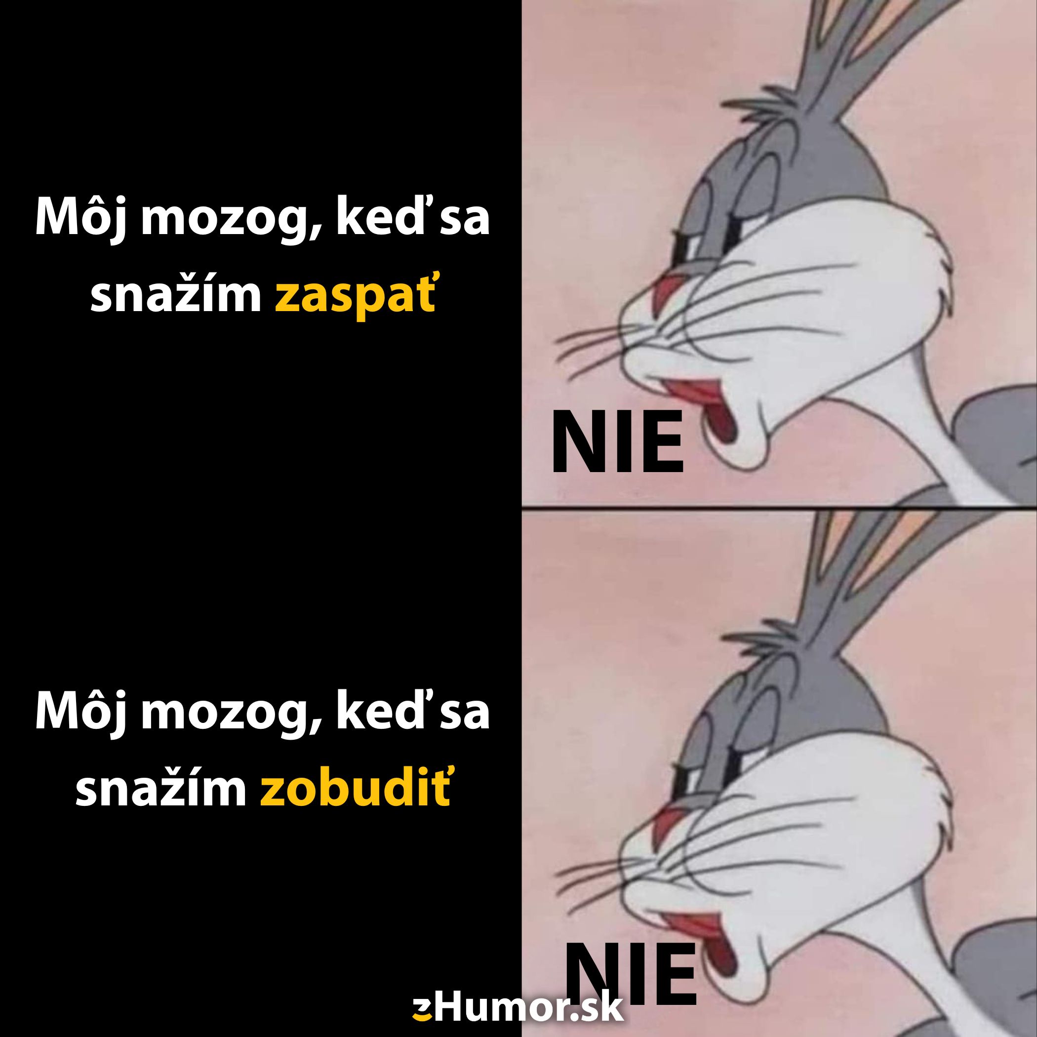Mozog odmieta zaspať aj sa prebudiť, znázornil komický obrázok králika s nápisom NIE.