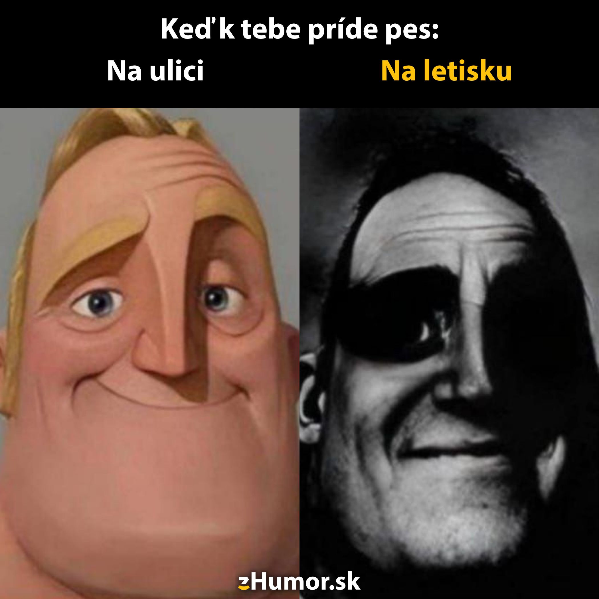 Osoba s úsmevom ilustruje kontrast reakcií psov: na ulici a na letisku.