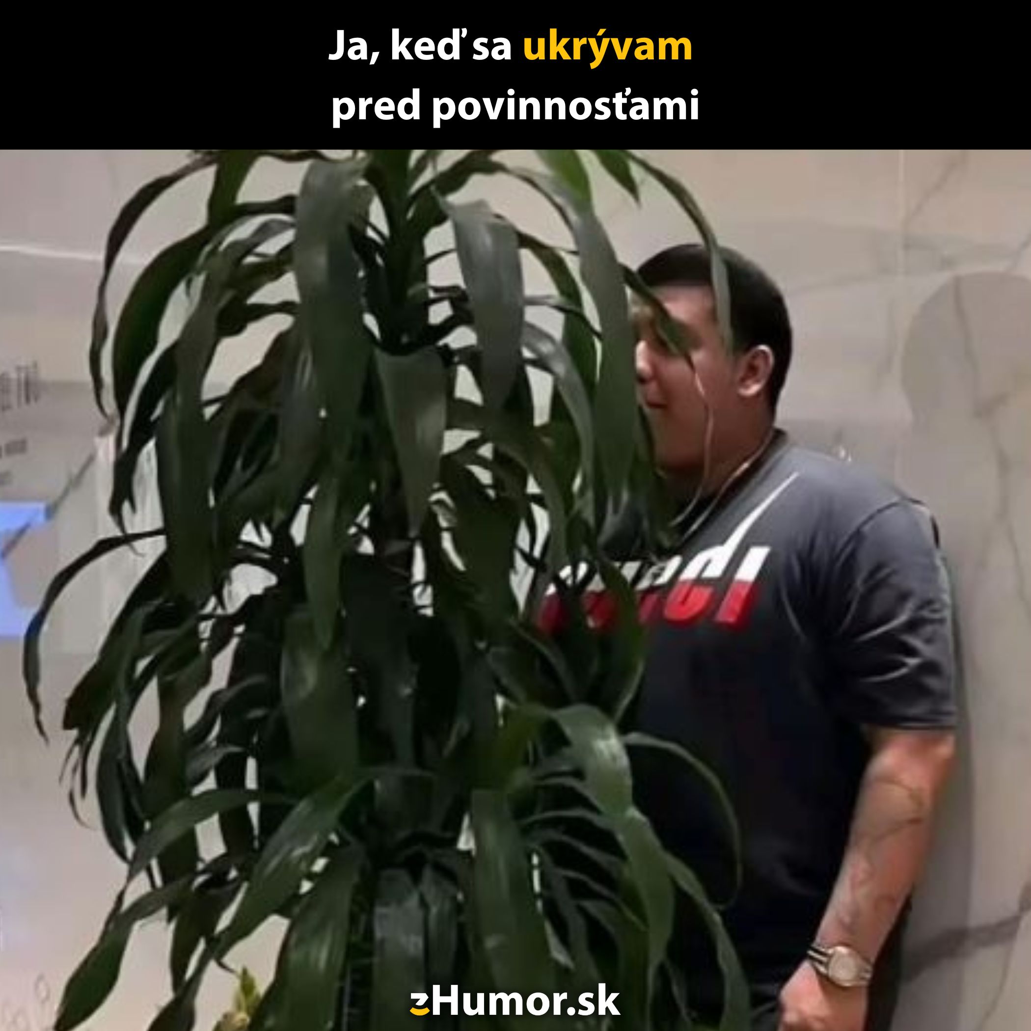 Osoba sa skrýva za veľkou izbovou rastlinou, ako keď sa vyhýba povinnostiam.