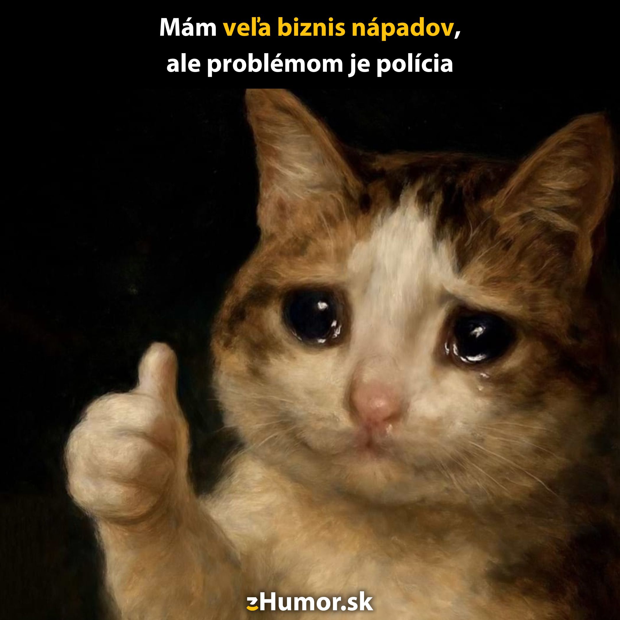 Smutná mačka s palcom hore a nápisom o množstve biznis nápadov, ale s problémom v podobe polície.