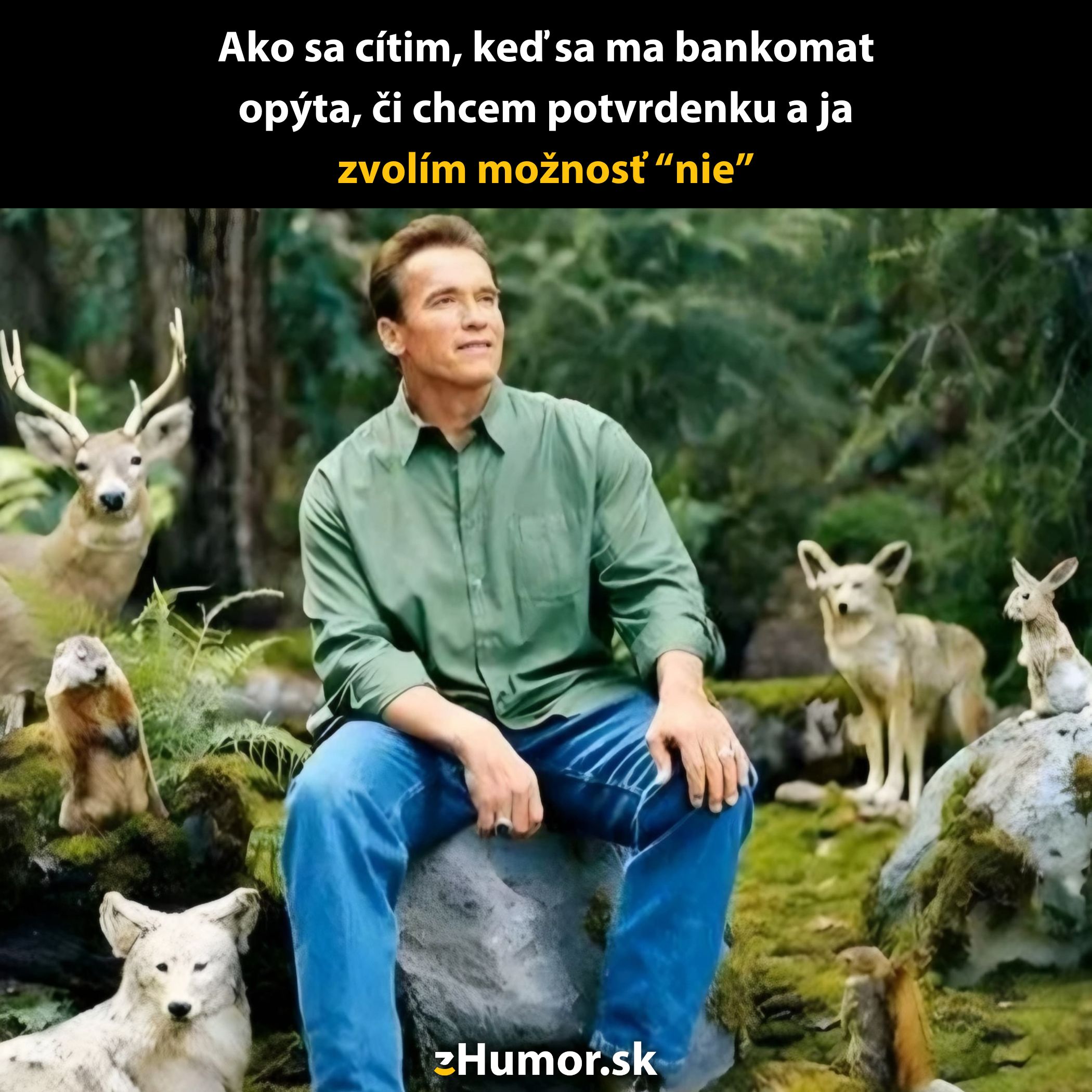 Muž sedí na kameni uprostred lesa obklopený zvieratami, má na sebe zelenú košeľu a modré džínsy.