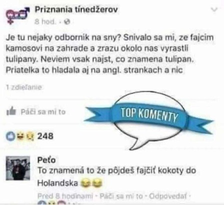 Vtipný komentár Petra na príspevok o sne s tulipánmi na Facebooku.