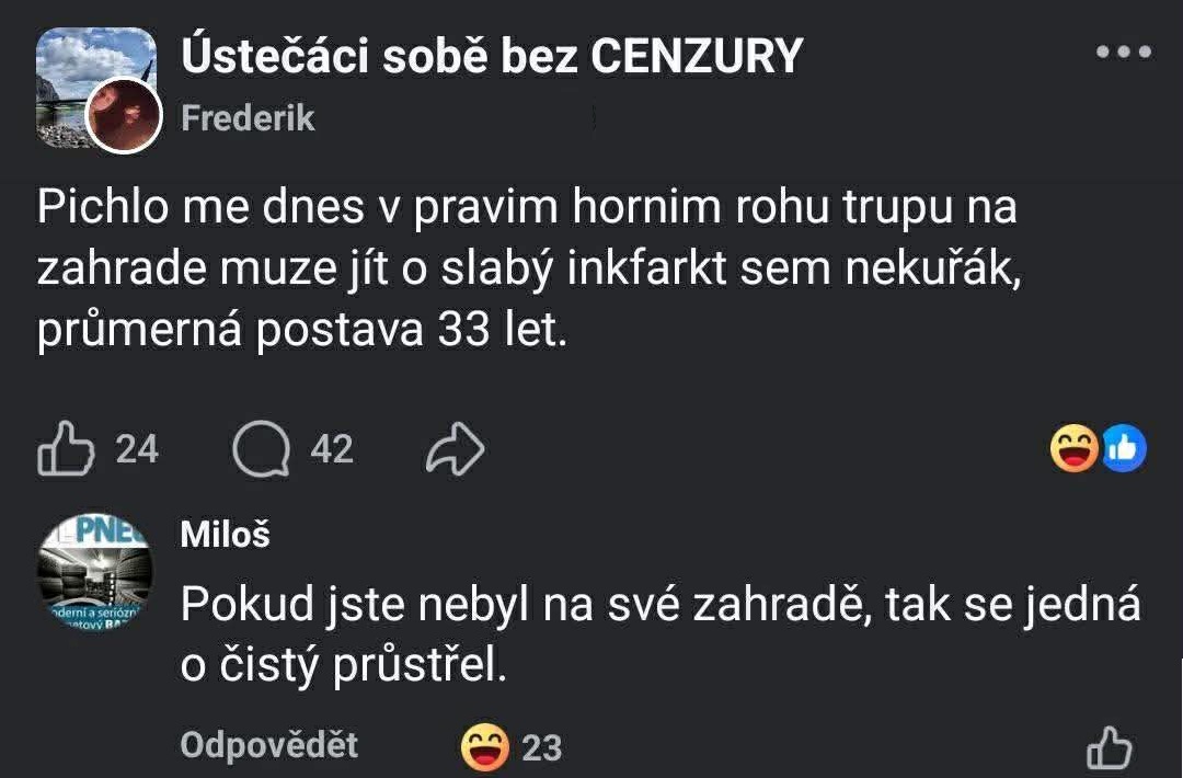 Dve humorné komentáre na sociálnej sieti o bolesti v hrudníku a príhode na záhrade.