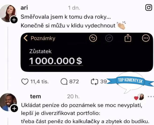 Osoba sa teší z dosiahnutia finančného cieľa 1 milión dolárov v poznámkach, ale iný komentátor radí diverzifikovať.