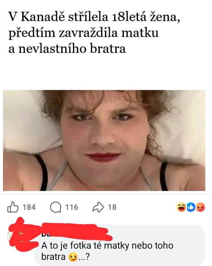 Obrázok osoby na sociálnych médiách s vtipným komentárom o matke alebo bratovi.